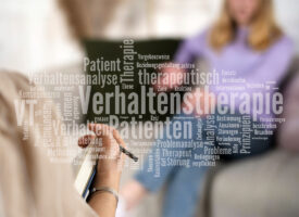 VT Info Lunchtalk: Fachkundeausbildung zum*r Psychotherapeut*in Verhaltenstherapie (VT) in der Übergangsregelung